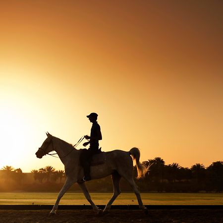 Melia Desert Palm Member Of Melia Collection Dubai Exterior photo A horse and rider at sunrise