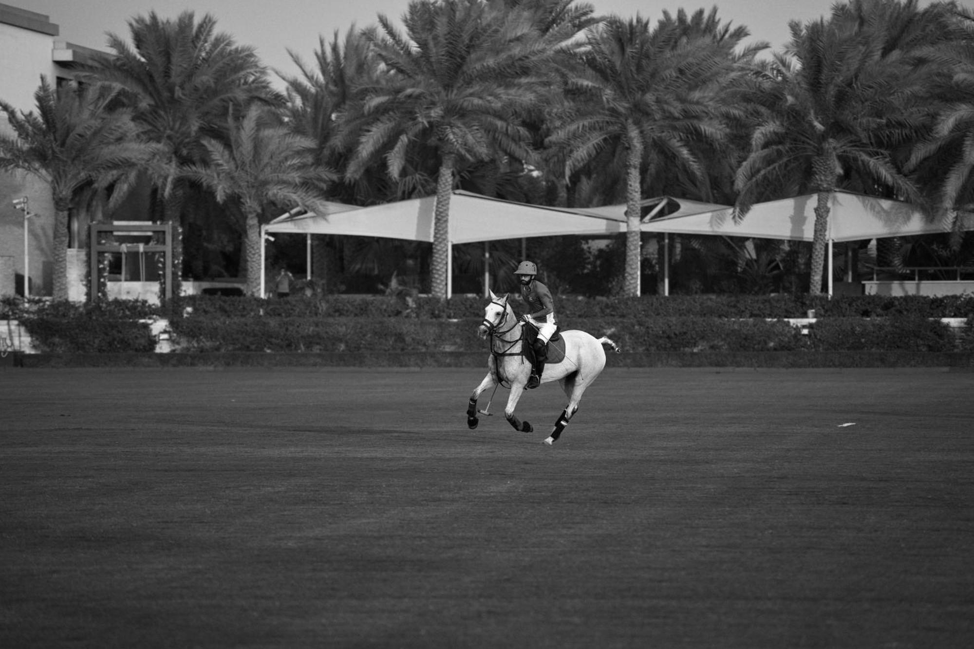 Melia Desert Palm Member Of Melia Collection Dubai Exterior photo A horse in Al-Shaqra